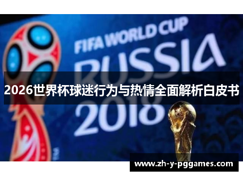 2026世界杯球迷行为与热情全面解析白皮书