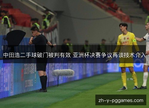 中田浩二手球破门被判有效 亚洲杯决赛争议再谈技术介入